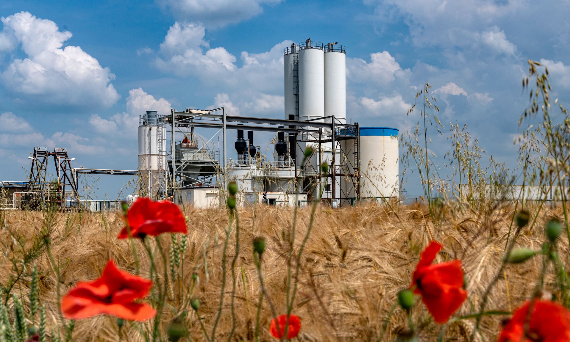 Cutting facility at the Staßfurt site from a distance under a slightly cloudy sky behind a field with poppies and grain