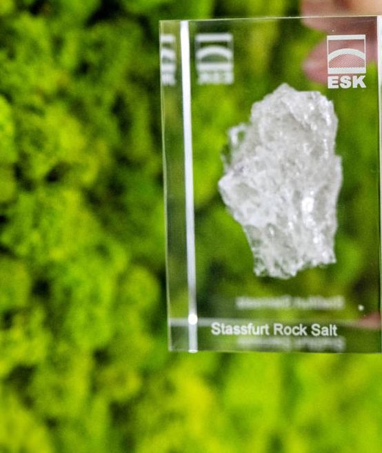 A hand holding a piece of acrylic glass with a piece of rock salt from Staßfurt embedded in it, in front of a green background