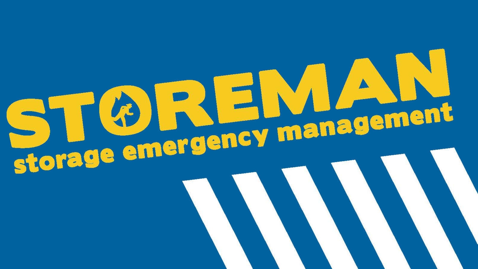 Logo Storeman